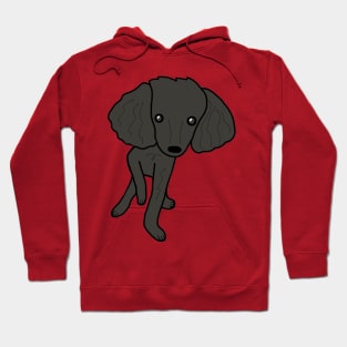 Minnie B Poodle Hoodie